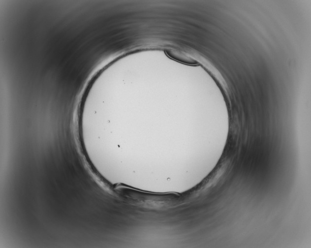 X0000086901053200705141639