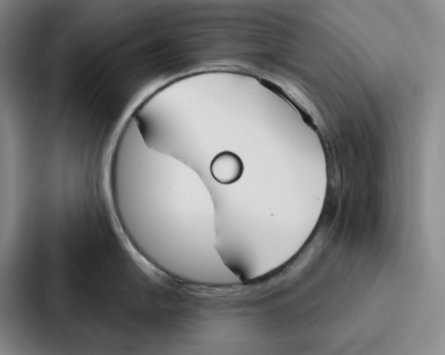 X0000086901054200705141639