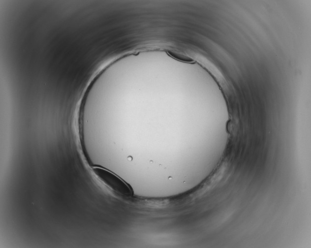 X0000086901055200705141639