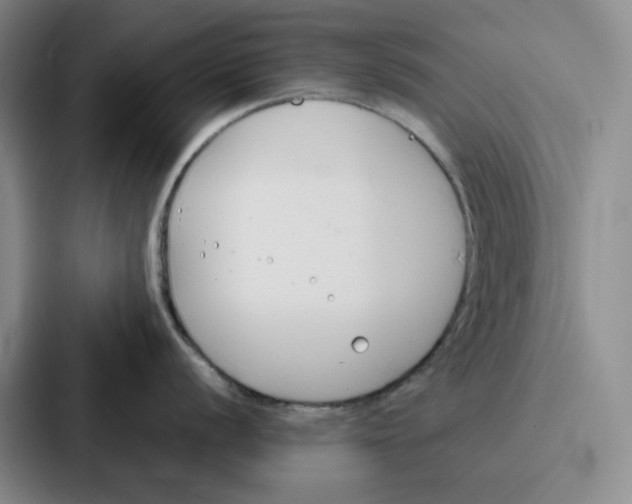 X0000086901056200705141639