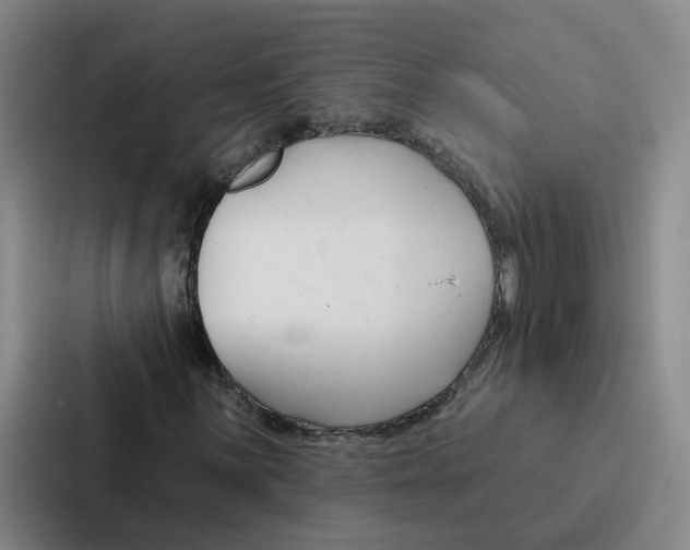 X0000086901059200705141638