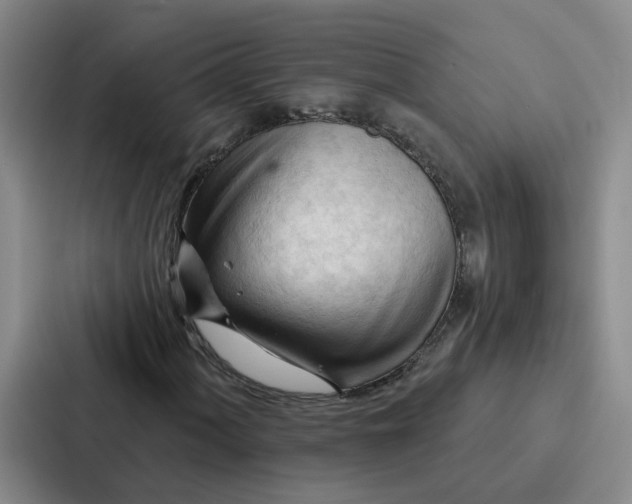 X0000086901060200705141638