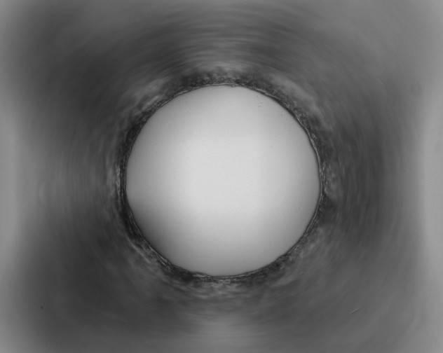 X0000086901061200705141638