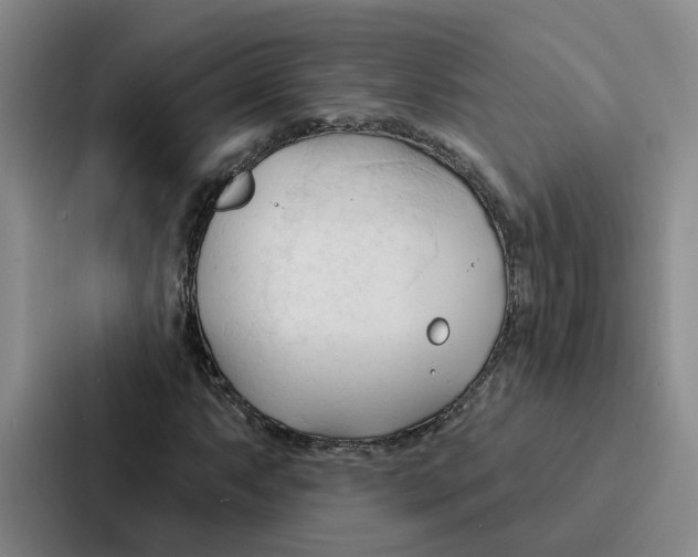 X0000086901063200705141638