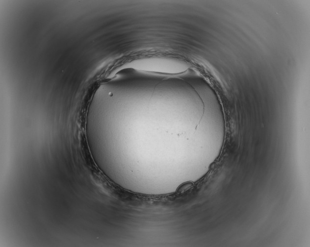 X0000086901064200705141638