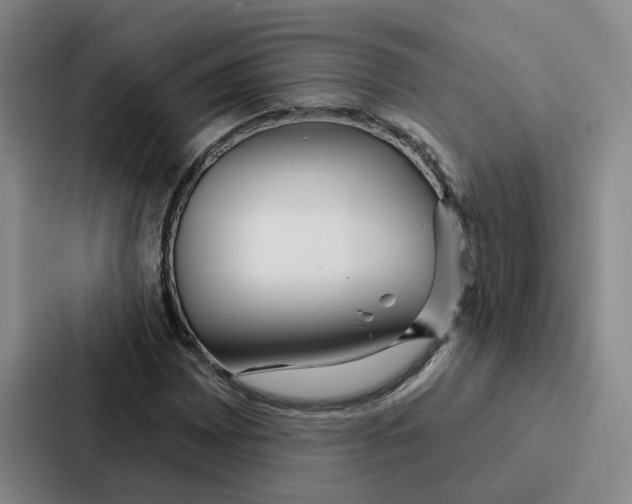 X0000086901065200705141638