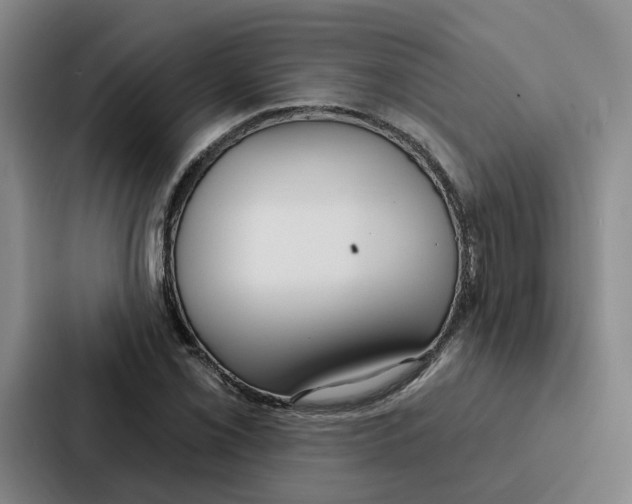 X0000086901069200705141638