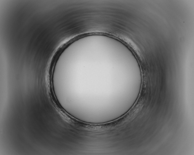 X0000086901072200705141638