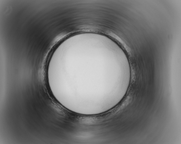 X0000086901074200705141638