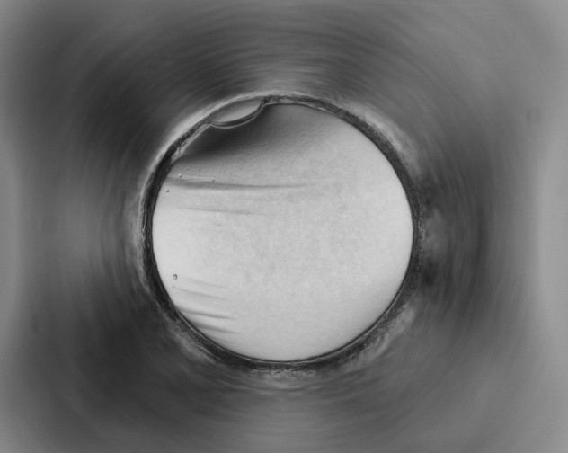 X0000086901077200705141638