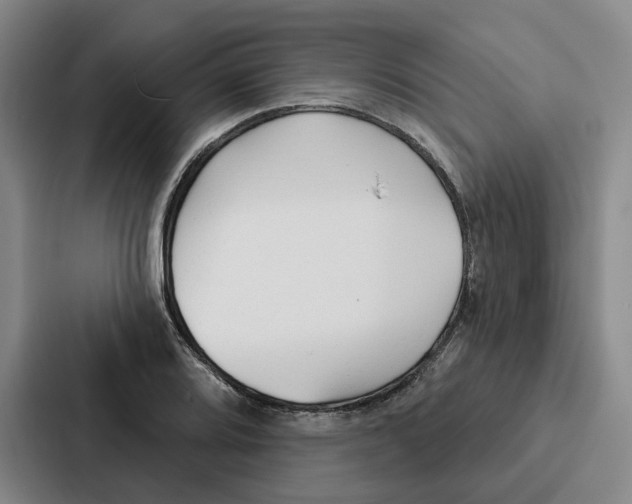 X0000086901080200705141638