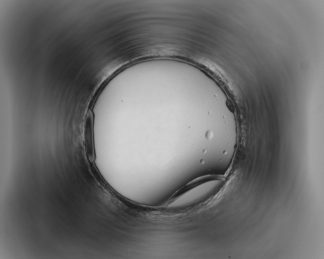 X0000086901081200705141638