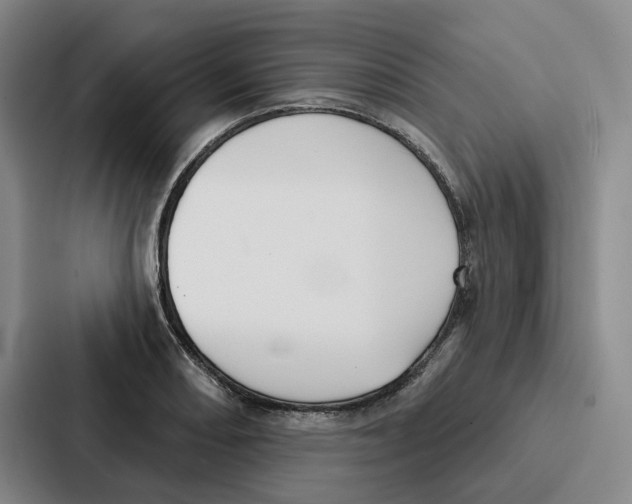 X0000086901082200705141638