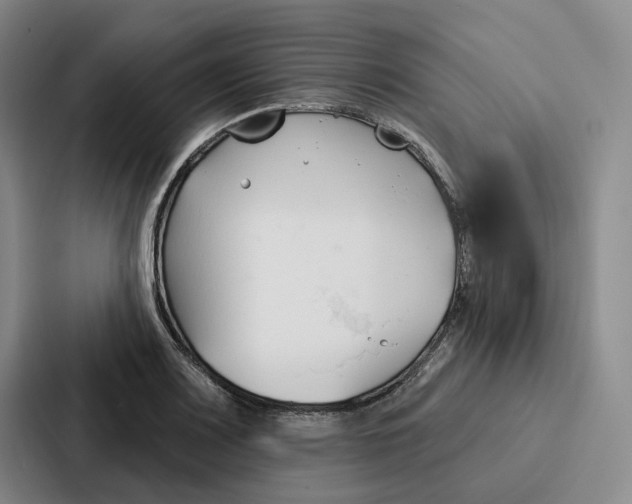 X0000086901083200705141638