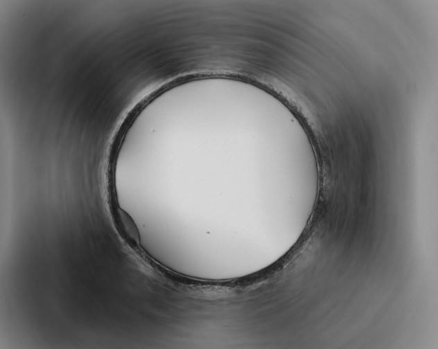 X0000086901085200705141638