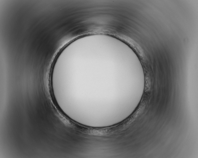 X0000086901086200705141638