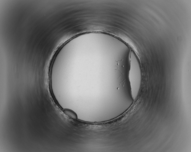 X0000086901088200705141638