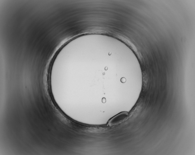 X0000086901091200705141638