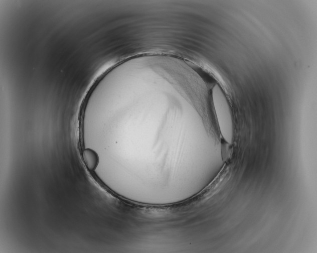 X0000086901095200705141637