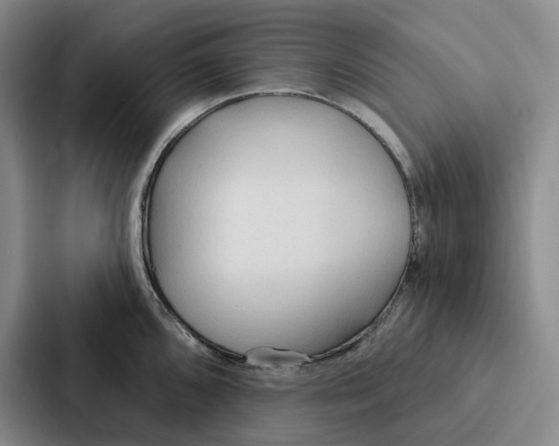 X0000086901096200705141637