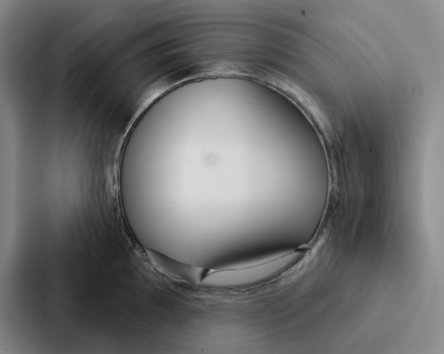 X0000086901097200705141637