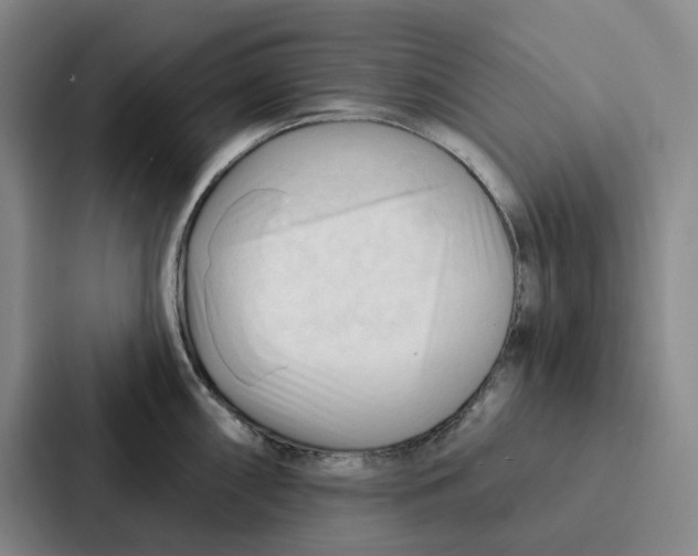 X0000086901098200705141637