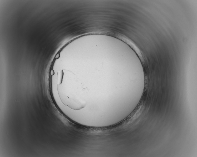 X0000086901099200705141637