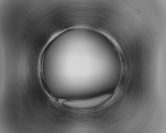 X0000086901101200705141637