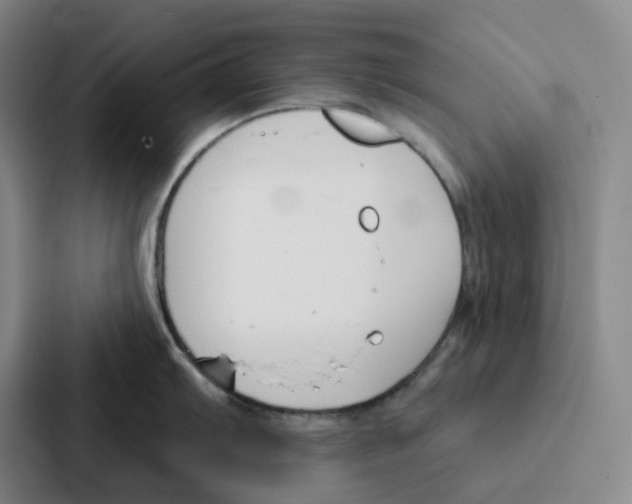 X0000086901103200705141637