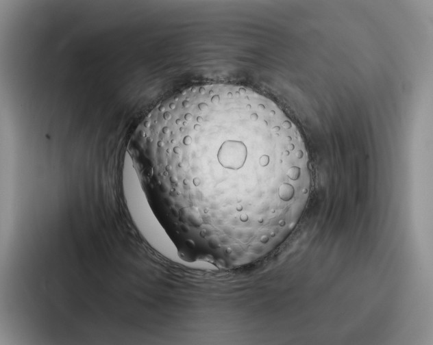 X0000086901106200705141637