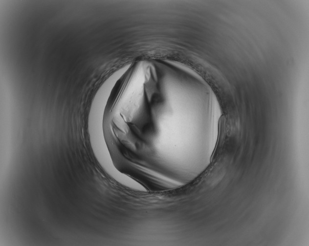 X0000086901108200705141637