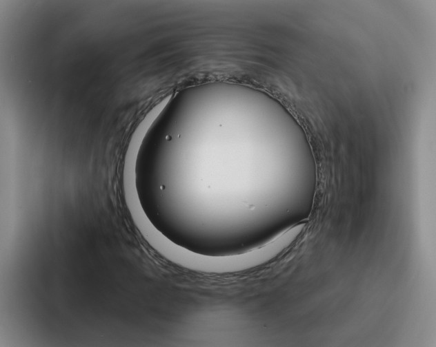 X0000086901109200705141637