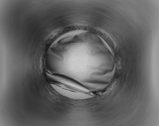 X0000086901110200705141637