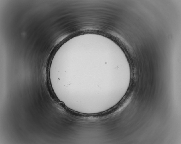 X0000086901113200705141637