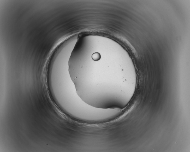 X0000086901114200705141637