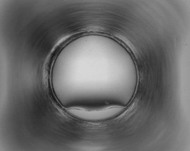 X0000086901115200705141637