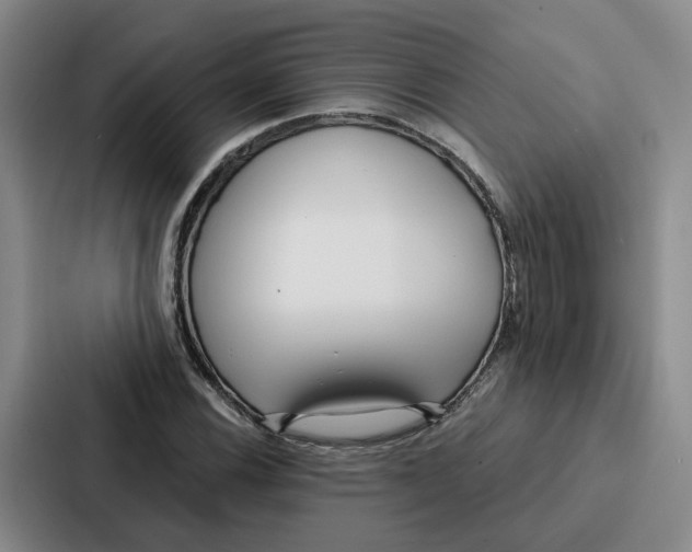 X0000086901116200705141637