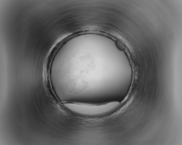 X0000086901117200705141637