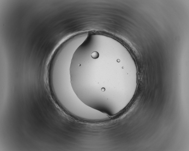 X0000086901118200705141637