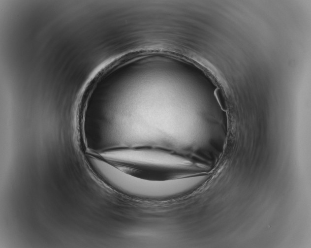 X0000086901120200705141637