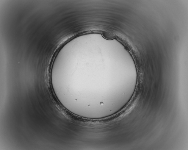 X0000086901121200705141637