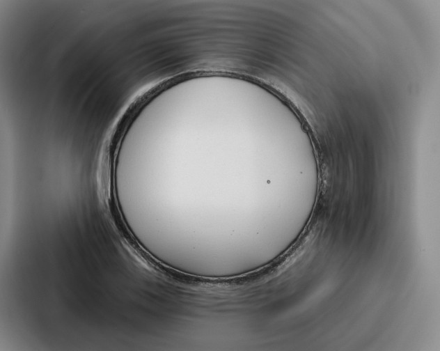 X0000086901123200705141637