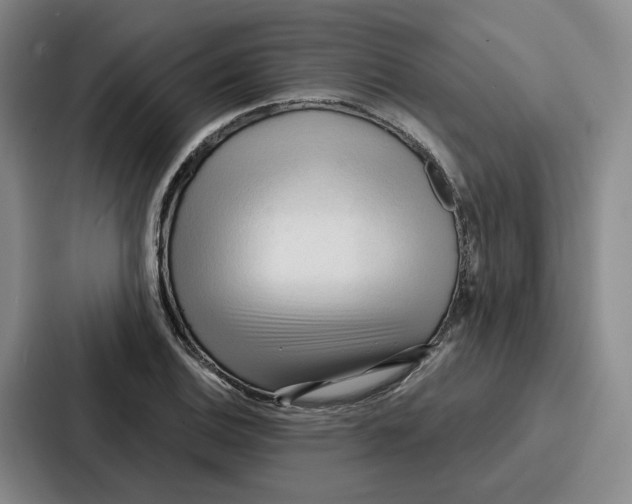 X0000086901124200705141637