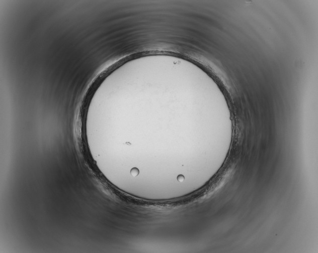 X0000086901125200705141637