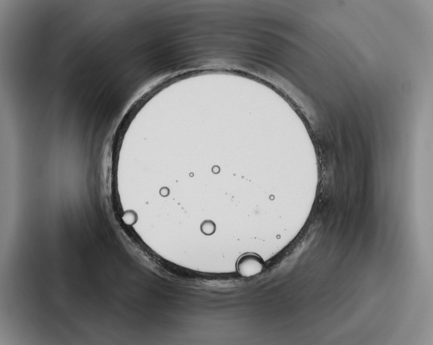 X0000086901126200705141637