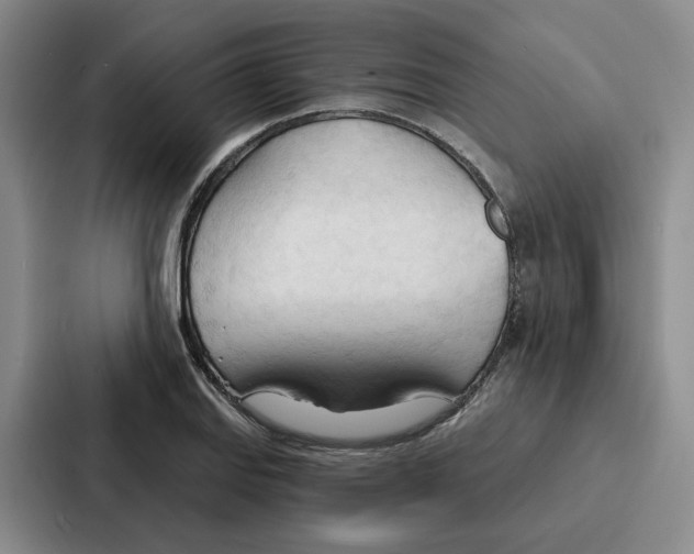 X0000086901127200705141637