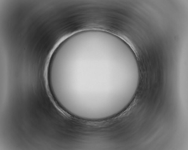 X0000086901128200705141637