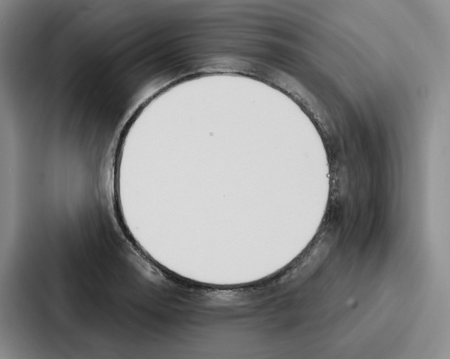 X0000086901130200705141637