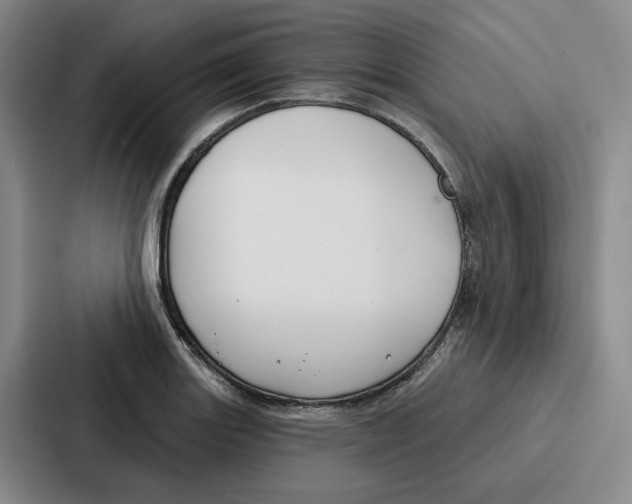 X0000086901131200705141637