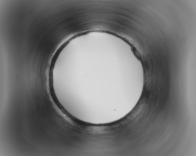 X0000086901134200705141637